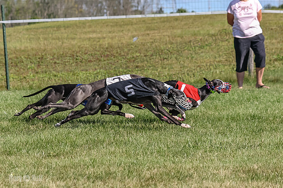 Program 1, Race 2 Jett Bolty Smokey Nathalia Zen Clover-0884