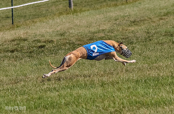 Program 1, Race 4 Charlotte Fia Chuck Bandit Blaze Denim-1022