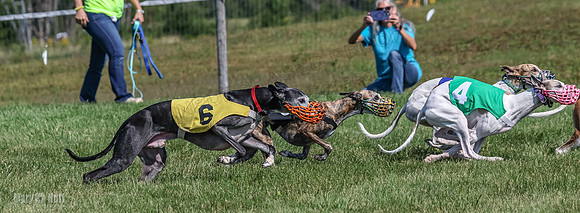 Program 1, Race 5 Conway Pearl Tissy Tina Bogie-1059