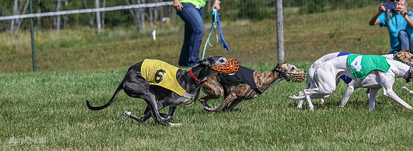 Program 1, Race 5 Conway Pearl Tissy Tina Bogie-1058