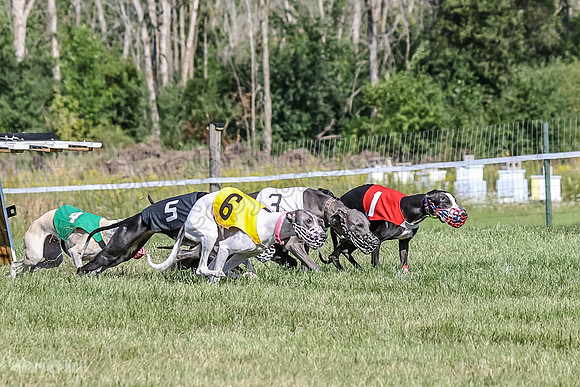 Program 1, Race 2 Jett Bolty Smokey Nathalia Zen Clover-0878