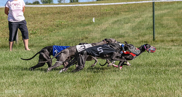 Program 1, Race 2 Jett Bolty Smokey Nathalia Zen Clover-0887