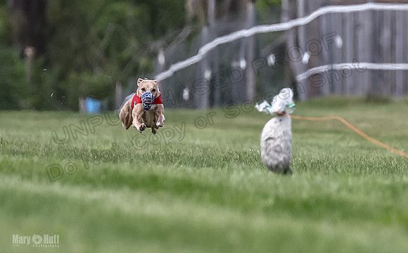 Program 2, Race 3 Roxy Tissy tina Denim Tusi-1695