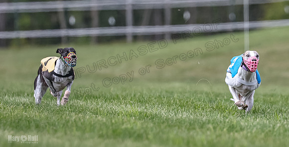 Program 2, Race 3 Roxy Tissy tina Denim Tusi-1709