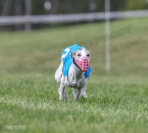Program 2, Race 3 Roxy Tissy tina Denim Tusi-1708