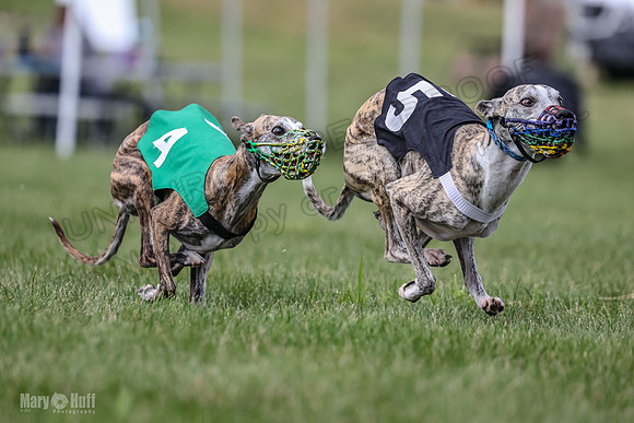 Program 2, Race 3 Roxy Tissy tina Denim Tusi-1720