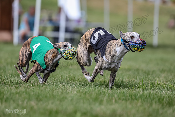 Program 2, Race 3 Roxy Tissy tina Denim Tusi-1719