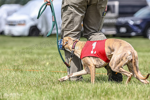 Program 2, Race 3 Roxy Tissy tina Denim Tusi-1692