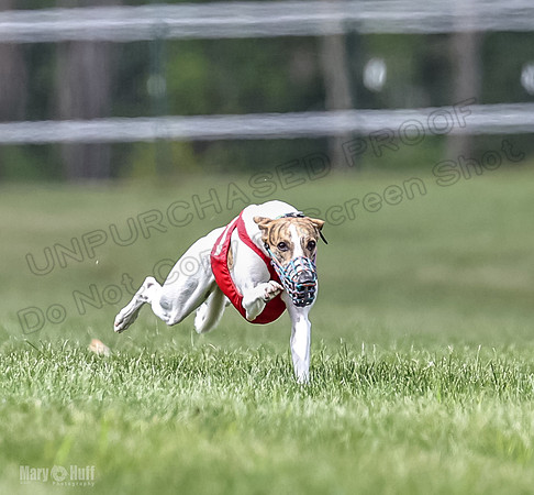 Program 2, Race 5 Pearl Piper Jett Blaze Zelda-1762
