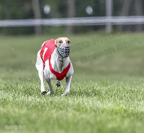 Program 2, Race 5 Pearl Piper Jett Blaze Zelda-1764-2