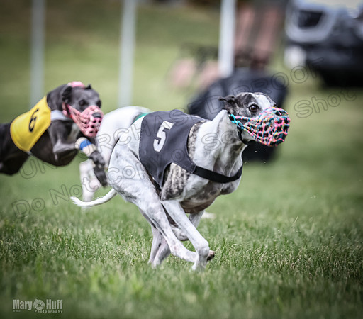 Program 2, Race 6 Sadie EllieMae Clover Valleri Sneakers-1797
