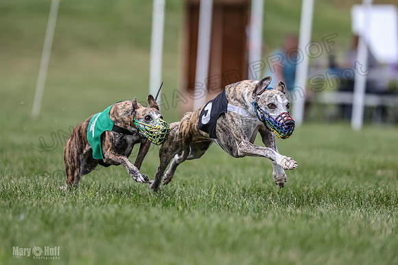 Program 2, Race 3 Roxy Tissy tina Denim Tusi-1717