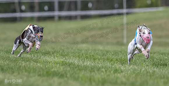 Program 2, Race 3 Roxy Tissy tina Denim Tusi-1710