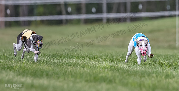 Program 2, Race 3 Roxy Tissy tina Denim Tusi-1707