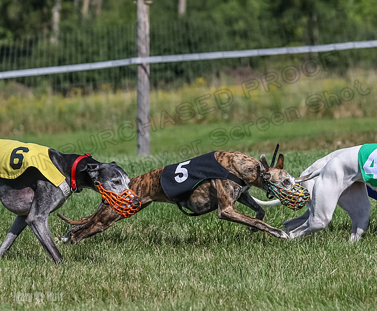 Program 1, Race 5 Conway Pearl Tissy Tina Bogie-1055