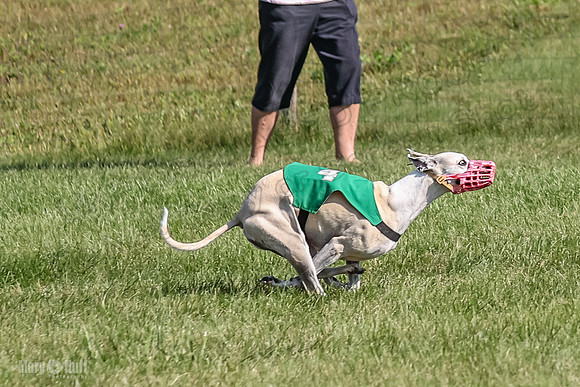 Program 1, Race 2 Jett Bolty Smokey Nathalia Zen Clover-0889