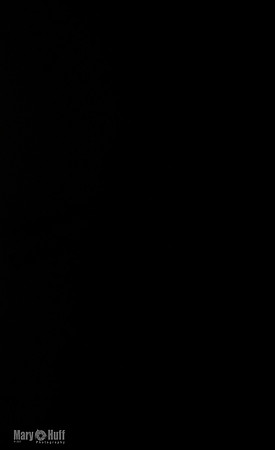 Program 3, Race 4 Bogie Jethro Sting Gambit Tissy-2267