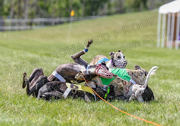 Program 3, Race 3 Tusi Trillian Blaze Sneakers Jett-2205