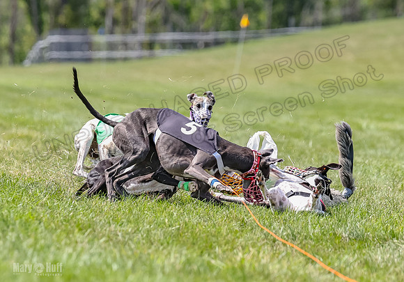 Program 3, Race 3 Tusi Trillian Blaze Sneakers Jett-2201