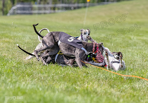 Program 3, Race 3 Tusi Trillian Blaze Sneakers Jett-2202