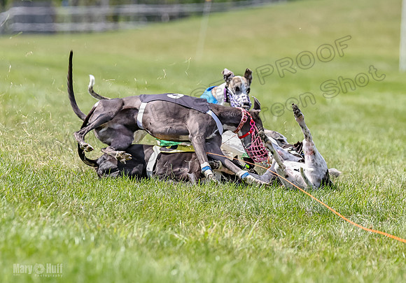Program 3, Race 3 Tusi Trillian Blaze Sneakers Jett-2203