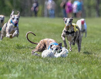 Program 3, Race 2 Roxy Tina Nathalia Fia Denim Charlotte-2132