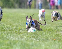 Program 3, Race 2 Roxy Tina Nathalia Fia Denim Charlotte-2124