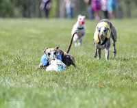 Program 3, Race 2 Roxy Tina Nathalia Fia Denim Charlotte-2125