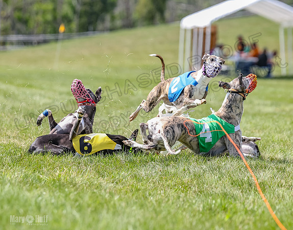 Program 3, Race 3 Tusi Trillian Blaze Sneakers Jett-2208