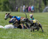 Program 3, Race 2 Roxy Tina Nathalia Fia Denim Charlotte-2136