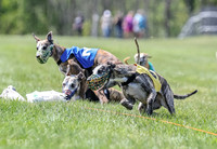 Program 3, Race 2 Roxy Tina Nathalia Fia Denim Charlotte-2137