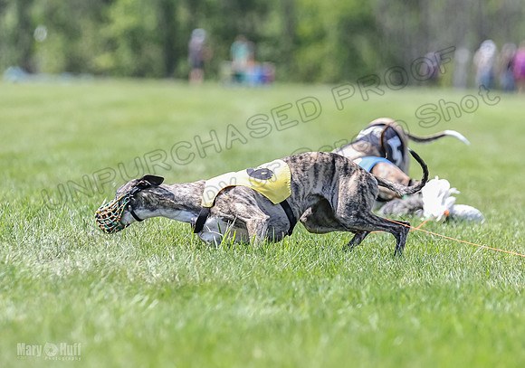 Program 3, Race 2 Roxy Tina Nathalia Fia Denim Charlotte-2147