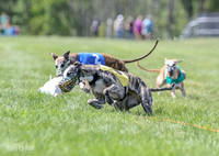 Program 3, Race 2 Roxy Tina Nathalia Fia Denim Charlotte-2141