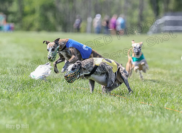 Program 3, Race 2 Roxy Tina Nathalia Fia Denim Charlotte-2140