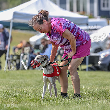 Program 3, Race 5 Sadie Piper TheFonz Bandit Zelda-2322