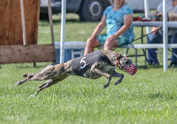 Prrogram 4, Race 6 Meatloaf Tara Conway Talim Veela Tristan-2637