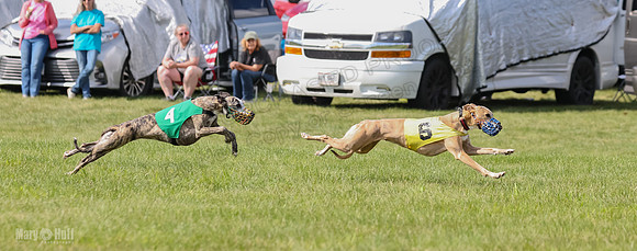 Prrogram 4, Race 2 Bogie Tina Charlotte Jett Roxy-2483