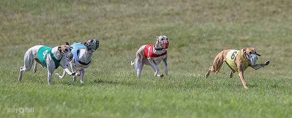 Prrogram 4, Race 5 Sadie Frankie Pearl Jethro EllieMae-2575