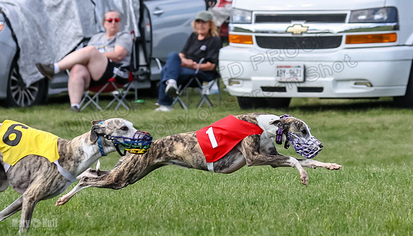 Prrogram 4, Race 1 Trillian Fia Nathalia Blaze Denim-2436