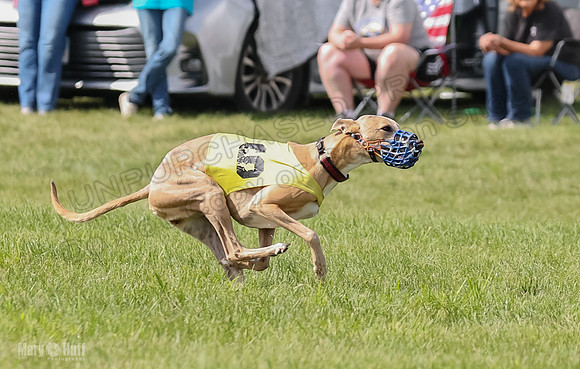 Prrogram 4, Race 2 Bogie Tina Charlotte Jett Roxy-2481