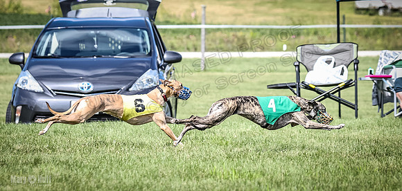 Prrogram 4, Race 2 Bogie Tina Charlotte Jett Roxy-2494