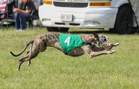 Prrogram 4, Race 2 Bogie Tina Charlotte Jett Roxy-2484