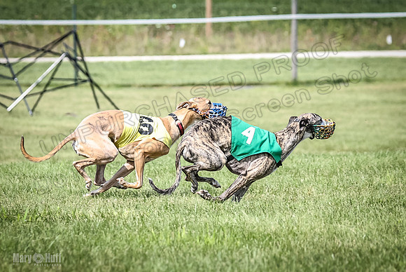Prrogram 4, Race 2 Bogie Tina Charlotte Jett Roxy-2491