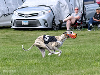 Prrogram 4, Race 1 Trillian Fia Nathalia Blaze Denim-2433