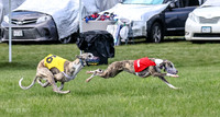 Prrogram 4, Race 1 Trillian Fia Nathalia Blaze Denim-2432