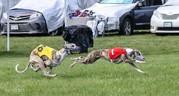 Prrogram 4, Race 1 Trillian Fia Nathalia Blaze Denim-2432