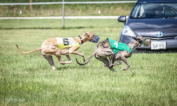 Prrogram 4, Race 2 Bogie Tina Charlotte Jett Roxy-2492