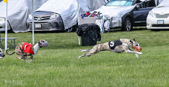 Prrogram 4, Race 1 Trillian Fia Nathalia Blaze Denim-2430