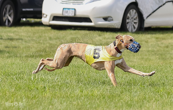 Prrogram 4, Race 2 Bogie Tina Charlotte Jett Roxy-2479