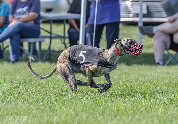 Prrogram 4, Race 6 Meatloaf Tara Conway Talim Veela Tristan-2640